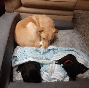 Meet your Posher, Becky